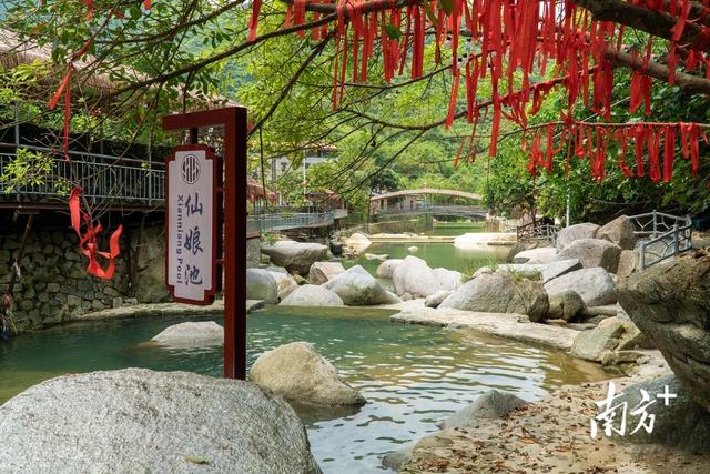 温差8℃的避暑胜地：绿野仙踪 盛夏如春｜打卡电白