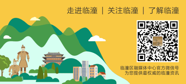 追光临潼 | 风拂草木，叶舞翩翩，早安~