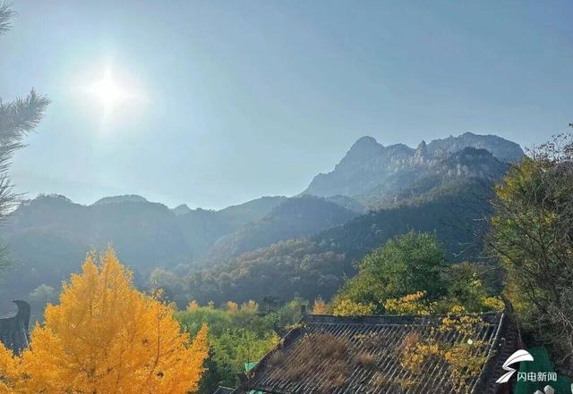 组图丨一大波美图来袭！泰山景区9个赏秋地超出片