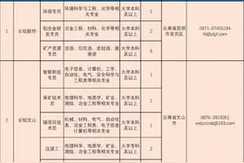 六险二金！云南铝业股份有限公司招人了图片