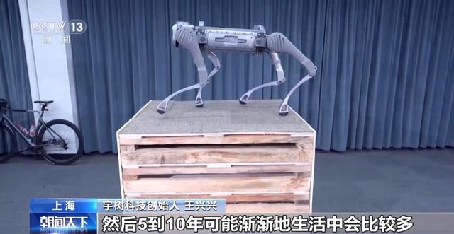 视频丨解决人形机器人发展难题 科技助推“银发经济” 这届进博会啥亮点