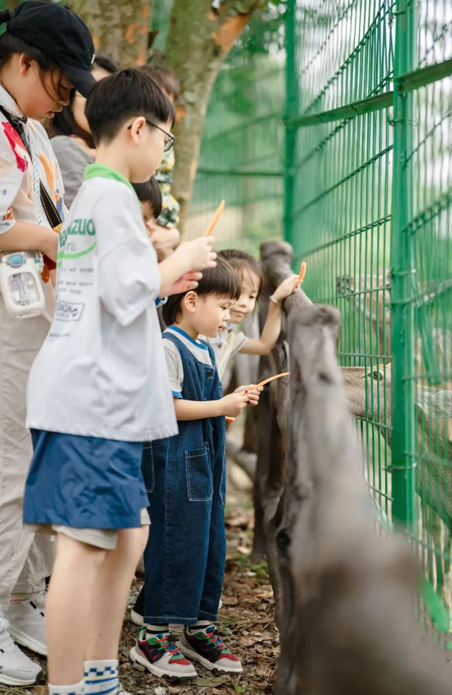 遛娃天花板！千岛湖也太会了！