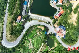 沿途皆是风景！2023年度武汉市十大“最美乡路”出炉图片