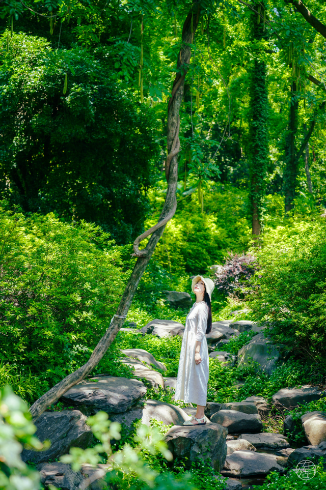 30+东湖夏日绝美壁纸，治愈一整年！