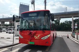 武汉“520-1314”编号公交车接送近20对情侣领证，520路公交车系上蝴蝶结图片