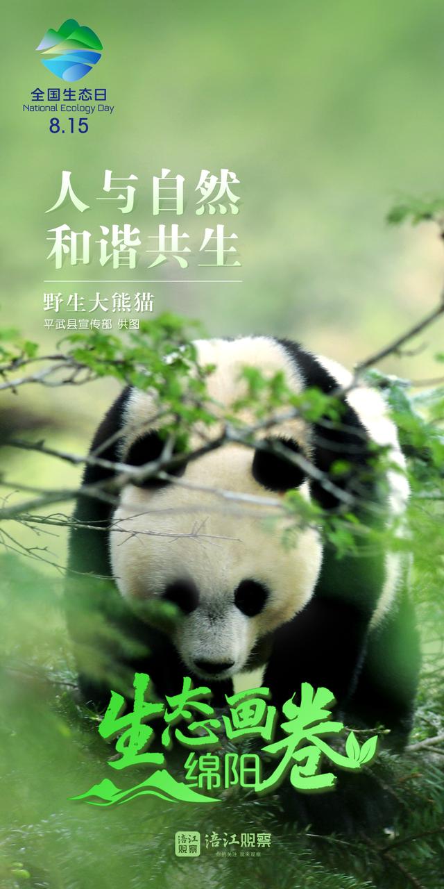 全国生态日丨看绵阳不加滤镜的山水大片