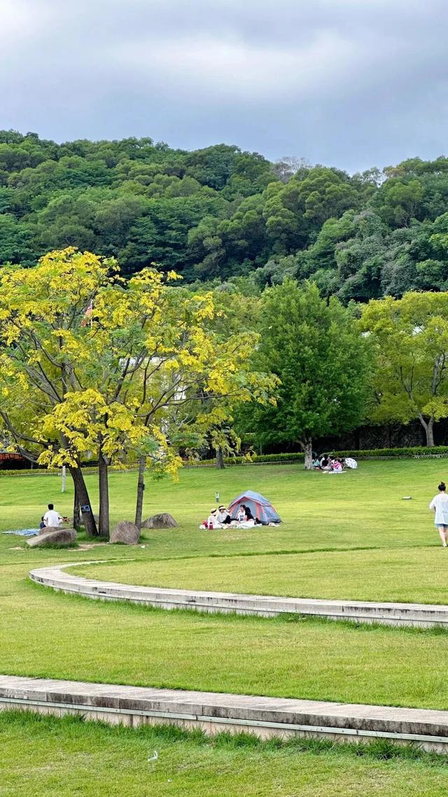 这个周末一定要“营”！