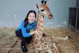“00后”剑桥毕业生当动物饲养员，就是“人才浪费”吗？图片
