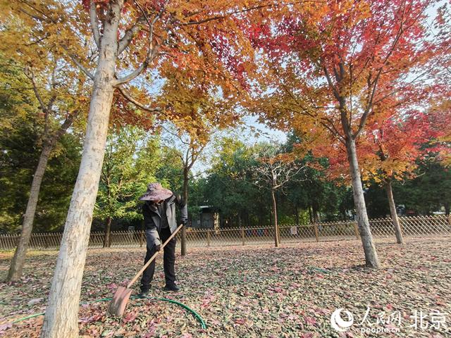 搭建红色教育平台 西山无名英雄广场提供免费讲解