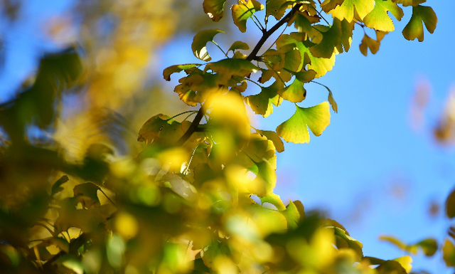 宝山隐藏打卡清单！“旅”选上海，“超”级精彩！这里出片率100%！