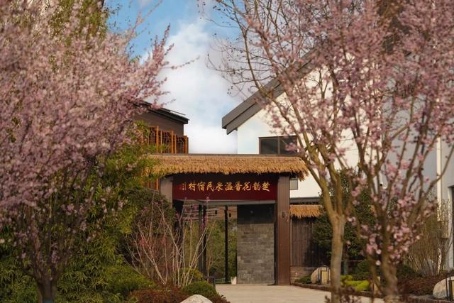 全国等级！南京+6