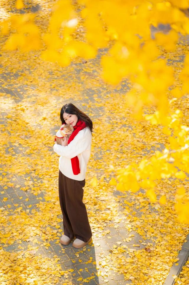 限时绝美！年度顶流！