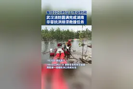 每日保证22小时以上作业时间！武汉消防圆满完成湖南华容抗洪排涝救援任务图片