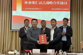 30万亩林地预计收益近千万元，广东探索林业碳汇联动开发合作新模……图片