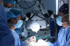 国内首次！基因编辑猪肾移植在猕猴体内存活超过半年图片