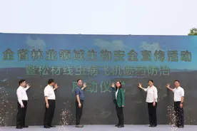松材线虫病飞机防治启动，广东持续保障林业生物安全图片