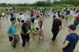 “摸鱼钓虾，嗨翻童年” ，武汉江夏凤凰社区组织开展六一亲子户外活动图片