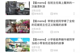 小猫对话为何让人“上头”？嘴替猫猫说透万千心事 | 睡前聊一会儿图片