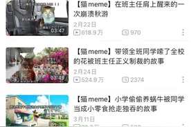 小猫对话为何让人“上头”？嘴替猫猫说透万千心事 | 睡前聊一会儿图片
