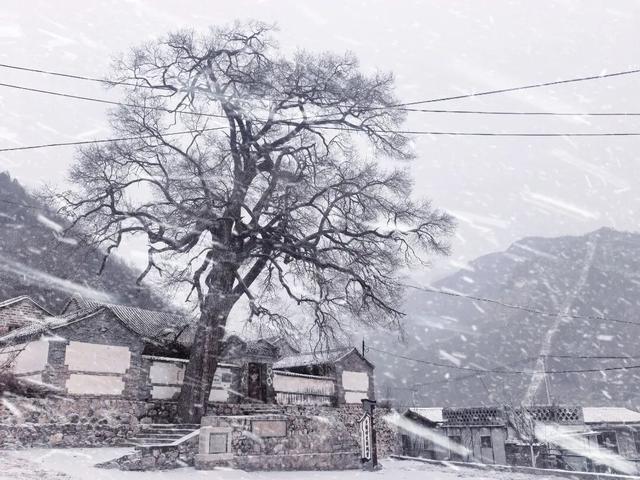雪景美图来了！京郊赏雪宝藏线路，解锁冬日限时浪漫