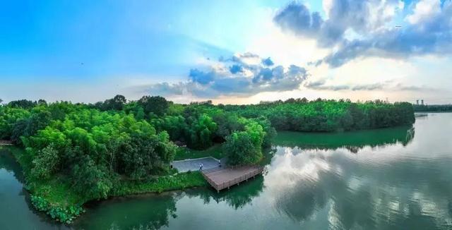 速藏启程！仪征秋季骑行一站式攻略，把秋景与趣味统统骑进眼里~