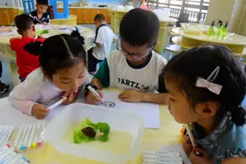 “孵出几百只蜗牛！”这个小女生示范了一堂生命教育课 | 新京报快评图片