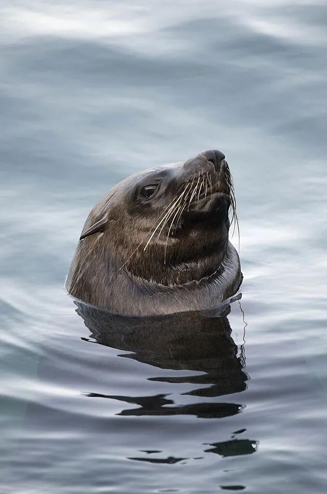 南非暖冬・野奢大年｜与天乐同行，在非洲暖阳里解锁新春新境