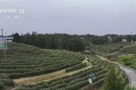 “国潮+”“露台+”“美食+”，准备好了！“五一”假期多样文旅新场景等你来图片