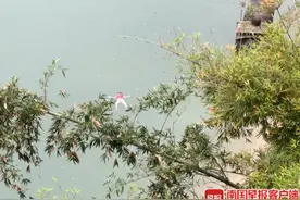 广西一小女孩突发意外……紧急时刻快递小哥飞奔救人图片