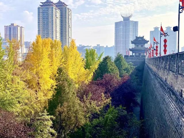 秋风引路入曲江，芙蓉金叶映红墙