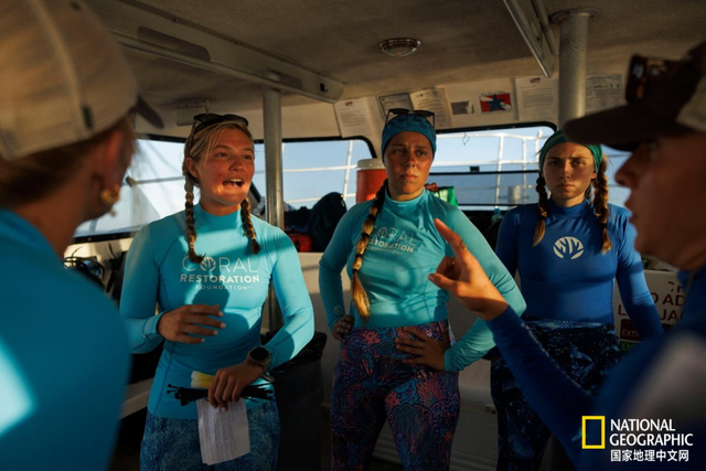 珊瑚礁集体遭热浪重创，关键物种功能性灭绝，20年修复难抵一次高温