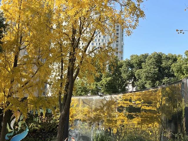 美翻了！苏河湾“红枫天桥”上线！更多金色、橙色、赭红色正在路上……来看↗