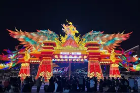2025武汉园博园花灯会开幕，“蒜鸟”和武汉话灯组大受欢迎，进园游客排长队图片
