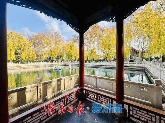 一年四季 泉在济南丨蓝天白云映清泉 济南珍珠泉冬日景致引客来