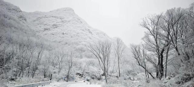 京城今冬首场雪，美景藏进相册里