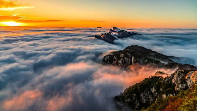 秋景大片都没看，洛阳的秋天，这就结束了？