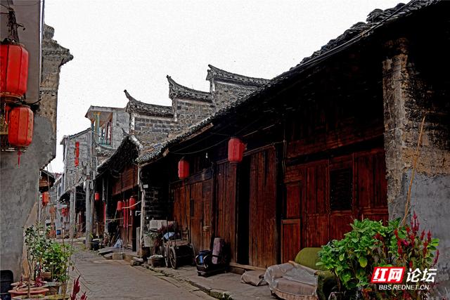 从“十八拐”到齐眉界，一条森林公园里的红色风景线