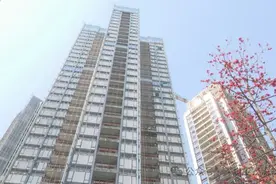 热度up！深圳住房公积金新政实施首日→图片