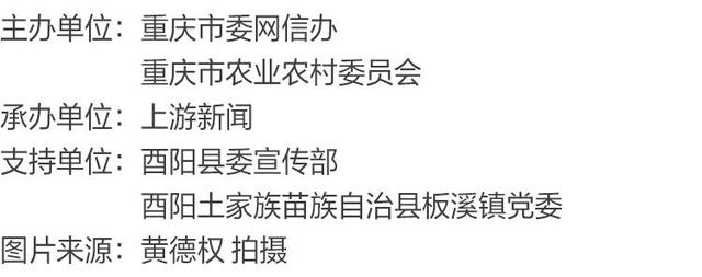 渝见好“村”光 | 酉阳山羊古寨：红叶深处的诗意田园