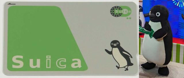 早报｜1299元起，苹果上架iPhone专用「袜子」/特斯拉在华销量暴跌，创三年最差记录/西贝回应「闭店潮」传闻：正常调整