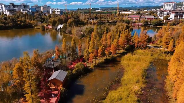 今天，楚雄要给你点颜色看看