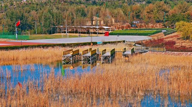 网络名人走进神木开展“绿水青山看神木”生态行活动