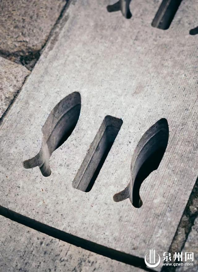 谁家“小可爱”藏在泉州街巷里