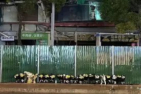 昆明城管回应“夺命招牌”致3死7伤：涉事招牌审批获通过，安全隐患排查未间断视频封面