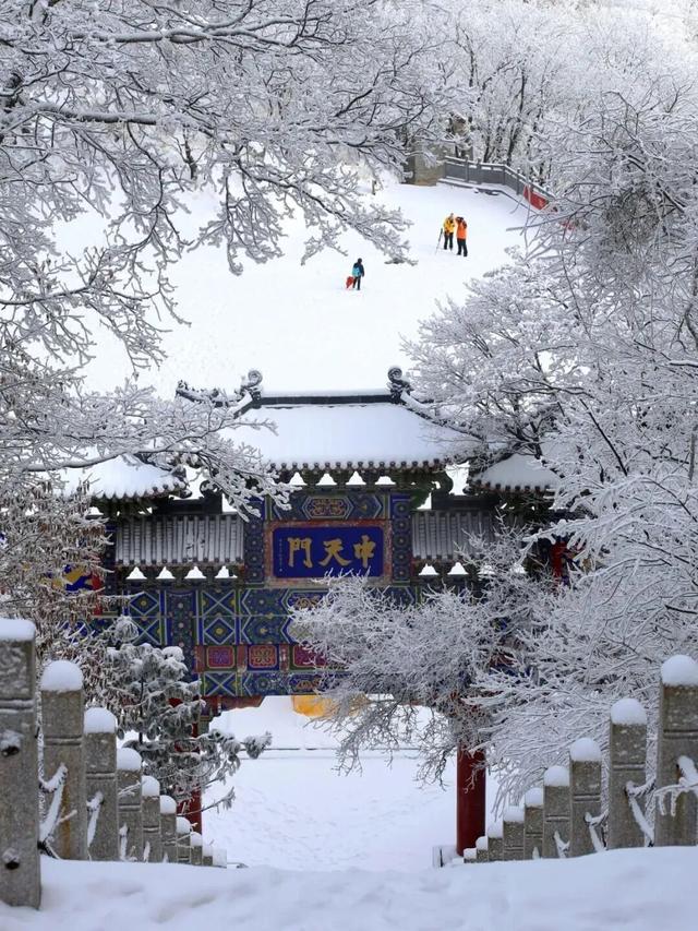 亮相央视！洛阳这些赏秋地，太美！