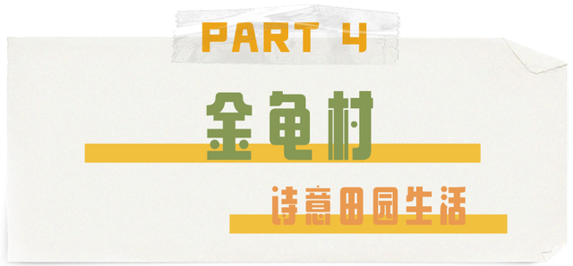 《许我耀眼》同款！坪山藏着你的“温暖的港湾”