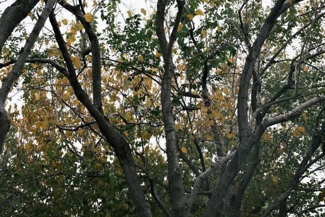 域见上海·域见奉贤｜奉浦秋日限定！这三条宝藏路线，承包所有秋日浪漫，刷爆朋友圈就靠它