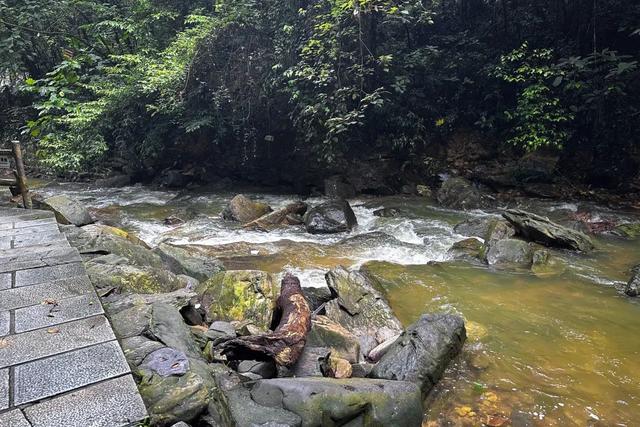 鼎湖山景区何时恢复开放？最新消息……