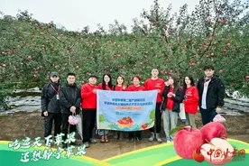 平凉商务“金果”直播季：田间行助农带货 土特产“果”然不凡图片