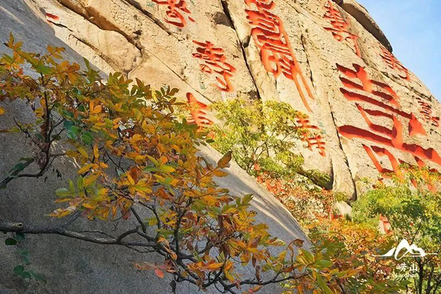 2025崂山赏秋地图发布 秋韵“大片”即将绝美上映！